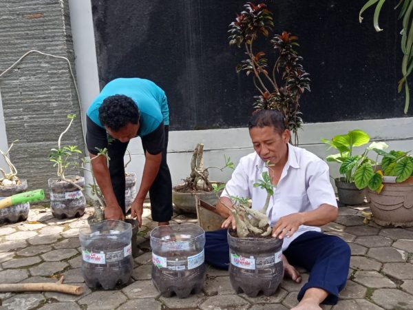 Pemanfaatan Galon Bekas untuk Pot Tanaman Hias Pemanfaatan Galon Bekas untuk Pot Tanaman Hias